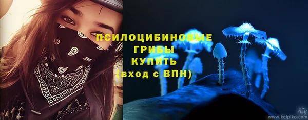 прущая мука Алзамай