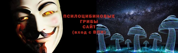 PSILOCYBIN Алексин