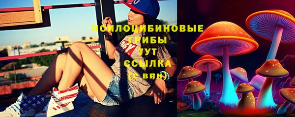 PSILOCYBIN Алексин