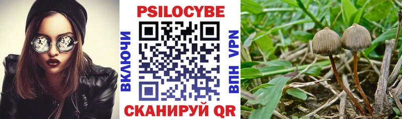Галлюциногенные грибы Cubensis  Богучар 